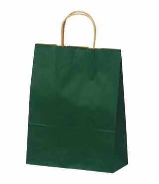 紙手提袋　T-X カラー(緑)